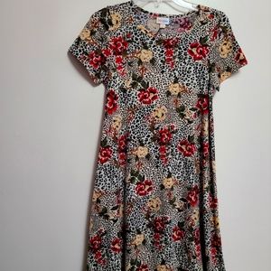 LuLaRoe Carly Dress